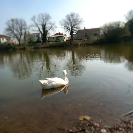 Lägenhet Bright & Cozy *