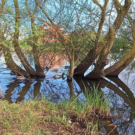 Bright & Cozy Medulin