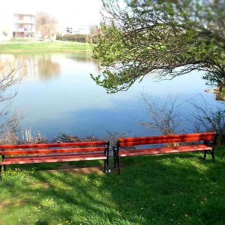 Bright & Cozy * Медулин