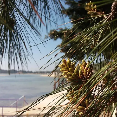 Апартаменты Bright & Cozy