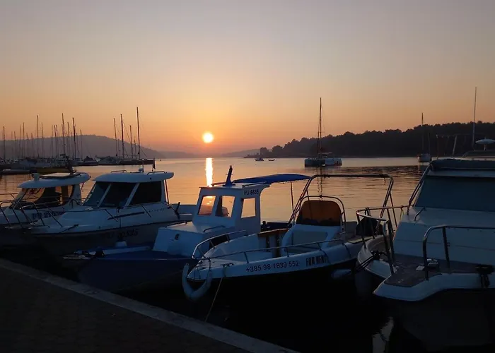 Lejlighed Bright & Cozy Medulin