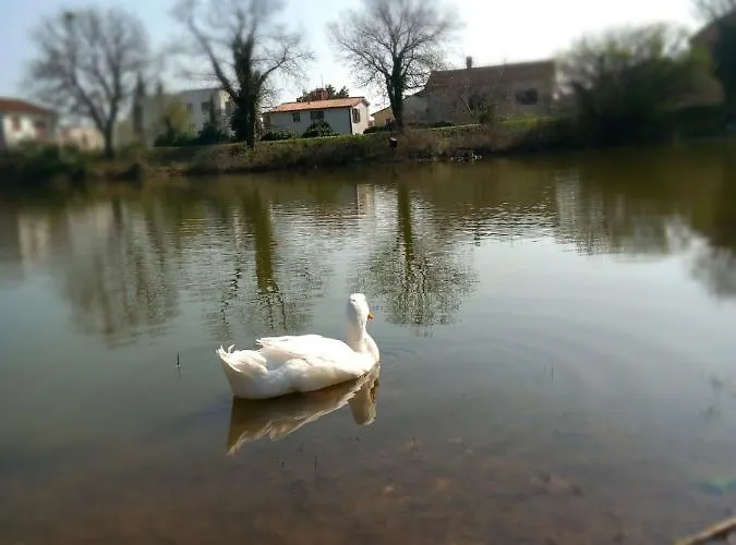 Appartement Bright & Cozy *