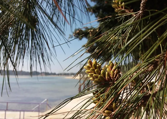 Lejlighed Bright & Cozy