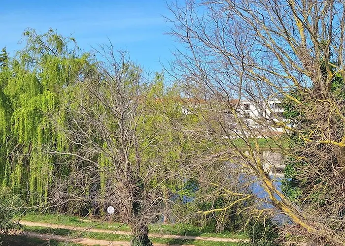 Bright & Cozy Medulin