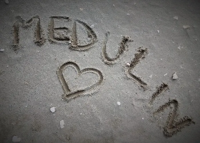 Appartement Bright & Cozy